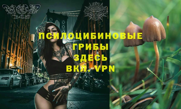 spice Пестово