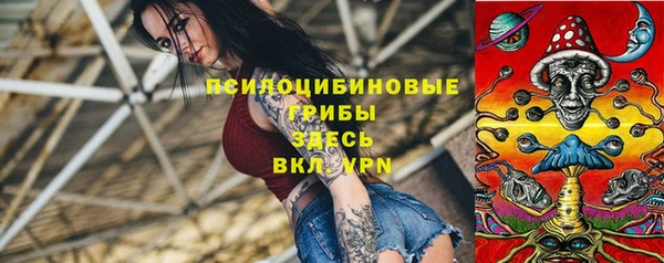 мяу мяу кристалл Переславль-Залесский
