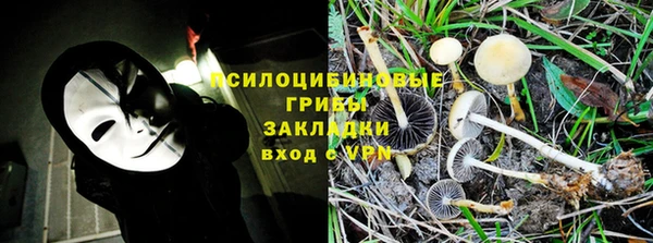 мяу мяу кристалл Переславль-Залесский
