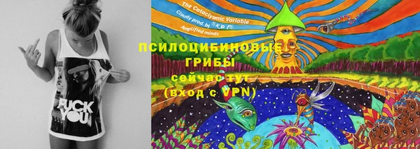 spice Пестово