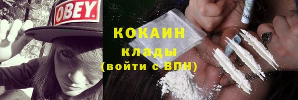 spice Пестово