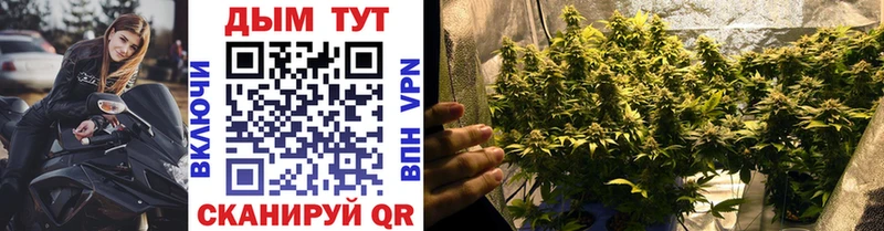 кракен маркетплейс  Власиха  Конопля Ganja 